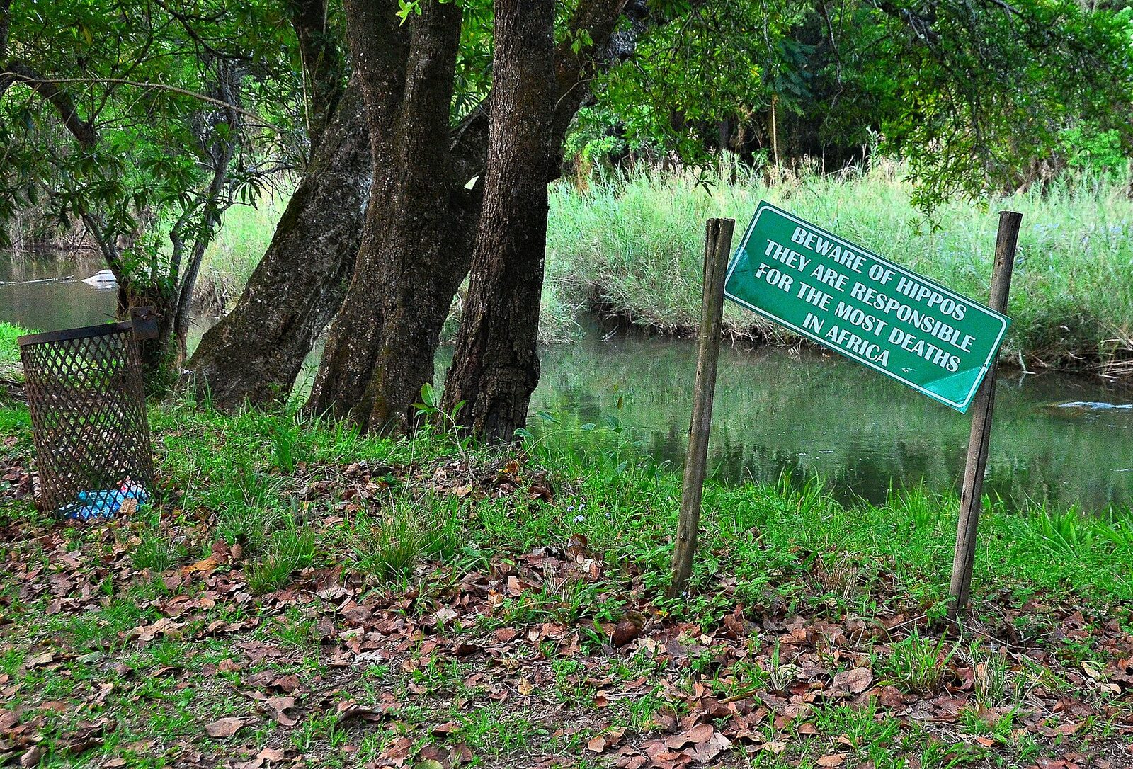 Beware of hippos sign on the banks of the Sabie River, Hazyview